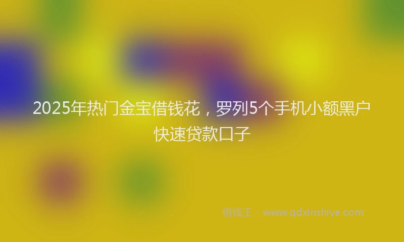 2025年热门金宝借钱花，罗列5个手机小额黑户快速贷款口子