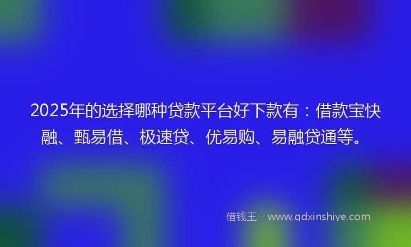 2025年的选择哪种贷款平台好下款有：借款宝快融、甄易借、极速贷、优易购、易融贷通等。