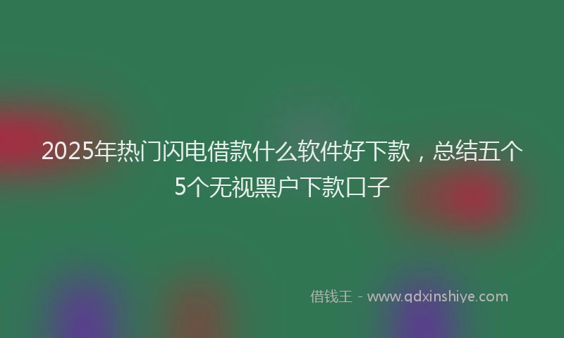 2025年热门闪电借款什么软件好下款，总结五个5个无视黑户下款口子