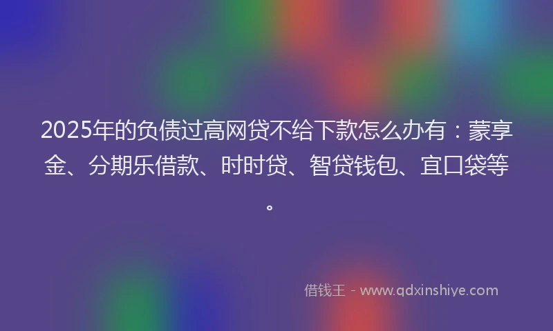 2025年的负债过高网贷不给下款怎么办有：蒙享金、分期乐借款、时时贷、智贷钱包、宜口袋等。