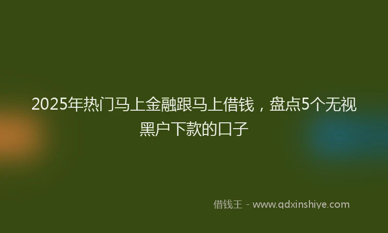 2025年热门马上金融跟马上借钱，盘点5个无视黑户下款的口子