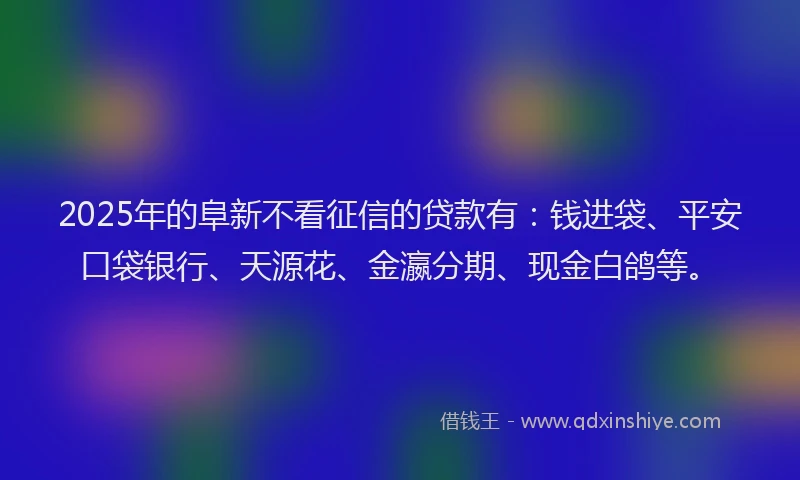 2025年的阜新不看征信的贷款有：钱进袋、平安口袋银行、天源花、金瀛分期、现金白鸽等。