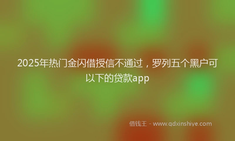 2025年热门金闪借授信不通过，罗列五个黑户可以下的贷款app