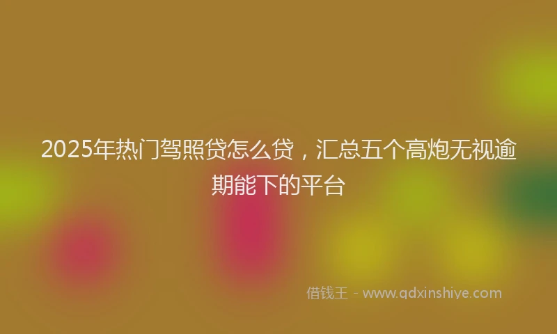 2025年热门驾照贷怎么贷，汇总五个高炮无视逾期能下的平台