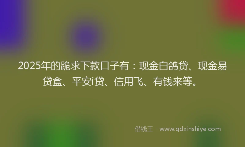 2025年的跪求下款口子有：现金白鸽贷、现金易贷盒、平安i贷、信用飞、有钱来等。