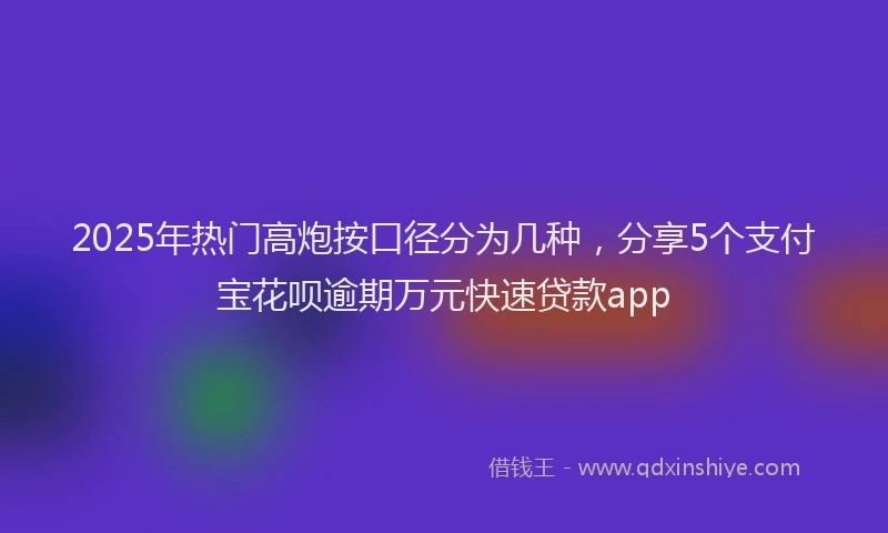 2025年热门高炮按口径分为几种，分享5个支付宝花呗逾期万元快速贷款app