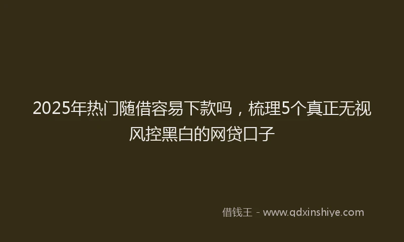 2025年热门随借容易下款吗，梳理5个真正无视风控黑白的网贷口子