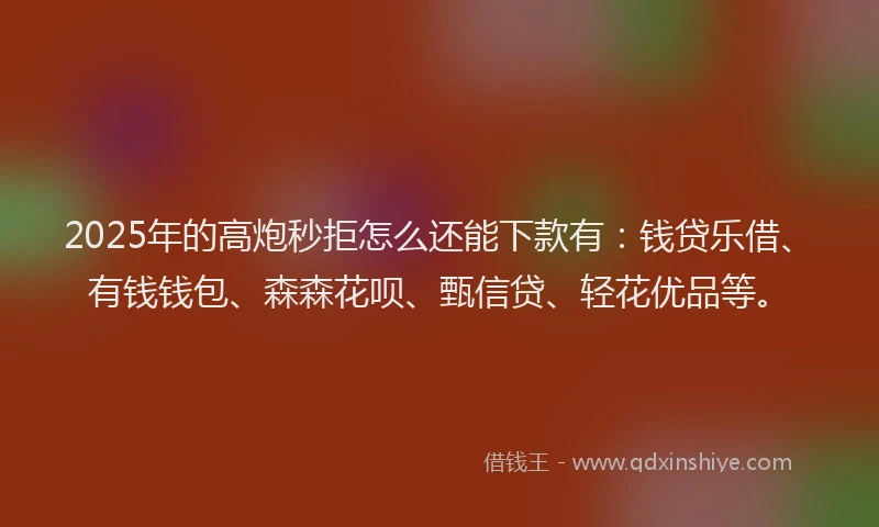 2025年的高炮秒拒怎么还能下款有：钱贷乐借、有钱钱包、森森花呗、甄信贷、轻花优品等。