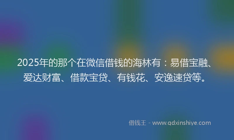 2025年的那个在微信借钱的海林有：易借宝融、爱达财富、借款宝贷、有钱花、安逸速贷等。
