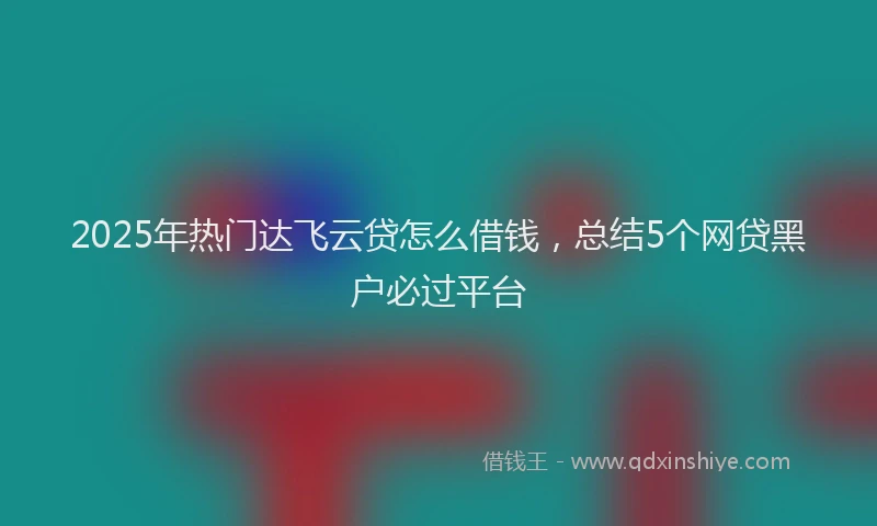 2025年热门达飞云贷怎么借钱，总结5个网贷黑户必过平台