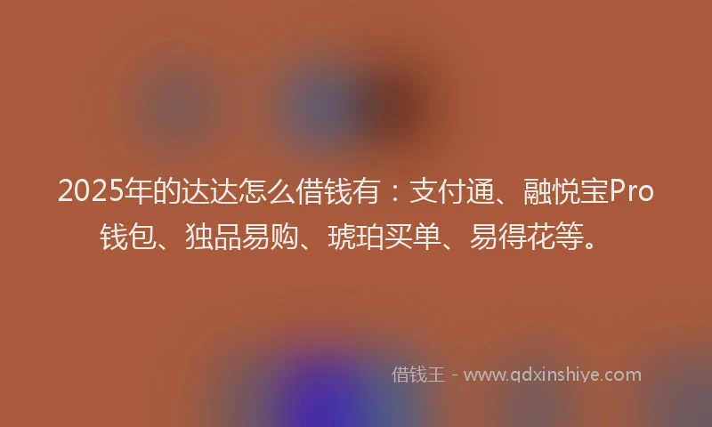2025年的达达怎么借钱有：支付通、融悦宝Pro钱包、独品易购、琥珀买单、易得花等。