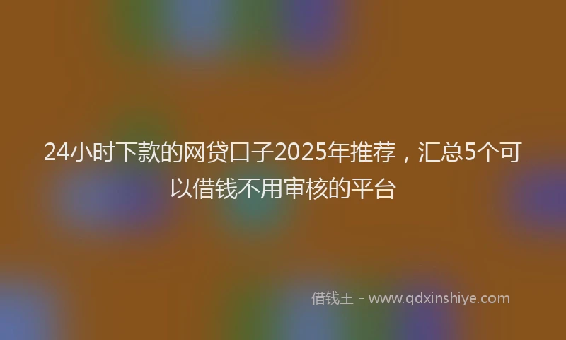 24小时下款的网贷口子2025年推荐，汇总5个可以借钱不用审核的平台