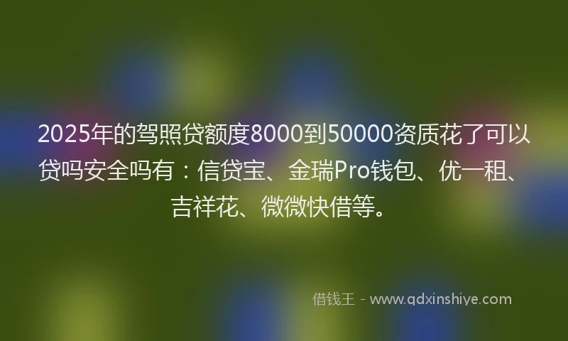 2025年的驾照贷额度8000到50000资质花了可以贷吗安全吗有：信贷宝、金瑞Pro钱包、优一租、吉祥花、微微快借等。