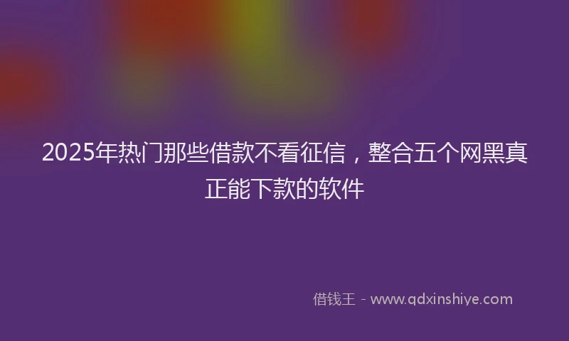 2025年热门那些借款不看征信，整合五个网黑真正能下款的软件