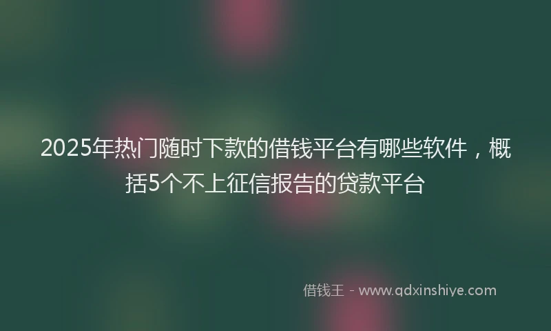 2025年热门随时下款的借钱平台有哪些软件，概括5个不上征信报告的贷款平台