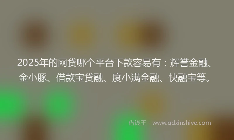 2025年的网贷哪个平台下款容易有：辉誉金融、金小豚、借款宝贷融、度小满金融、快融宝等。