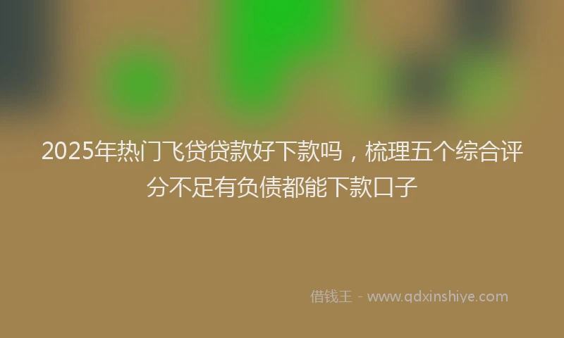 2025年热门飞贷贷款好下款吗，梳理五个综合评分不足有负债都能下款口子
