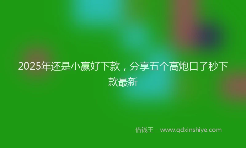 2025年还是小赢好下款，分享五个高炮口子秒下款最新