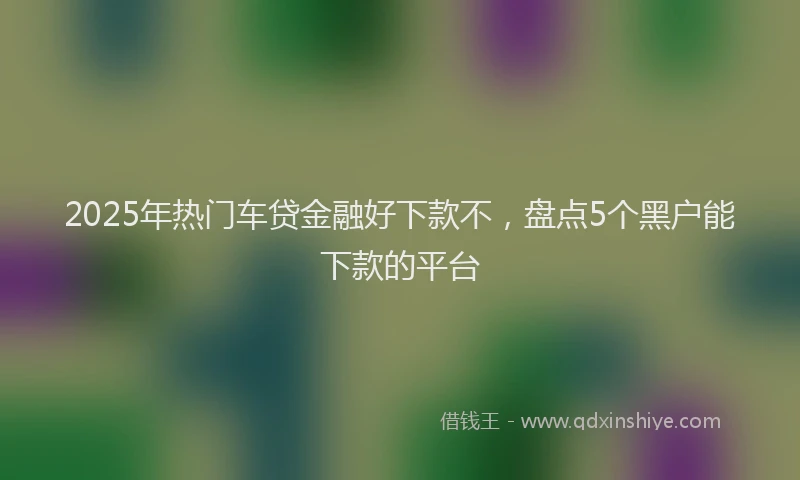 2025年热门车贷金融好下款不，盘点5个黑户能下款的平台