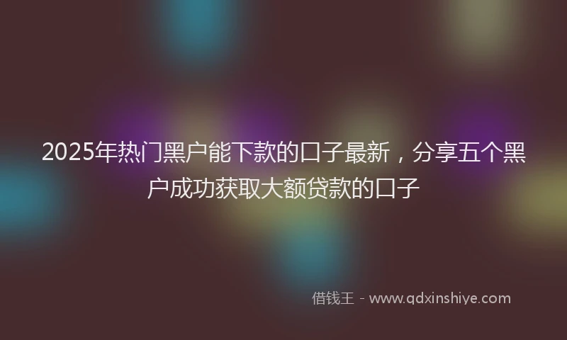 2025年热门黑户能下款的口子最新，分享五个黑户成功获取大额贷款的口子