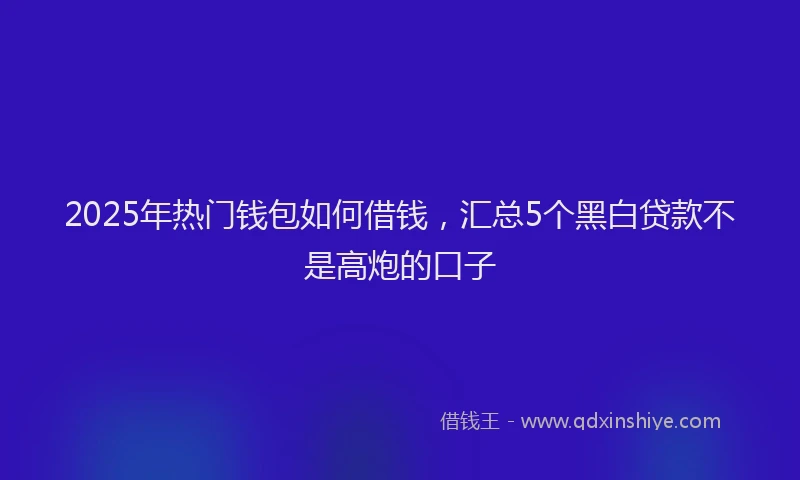 2025年热门钱包如何借钱，汇总5个黑白贷款不是高炮的口子