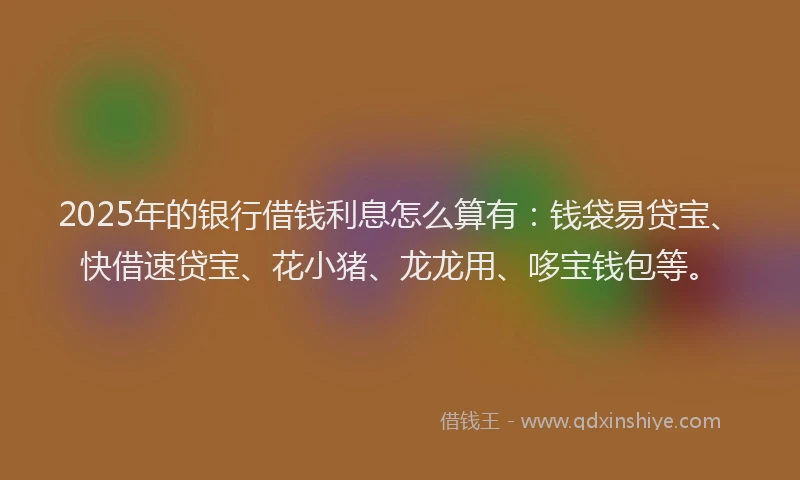 2025年的银行借钱利息怎么算有：钱袋易贷宝、快借速贷宝、花小猪、龙龙用、哆宝钱包等。