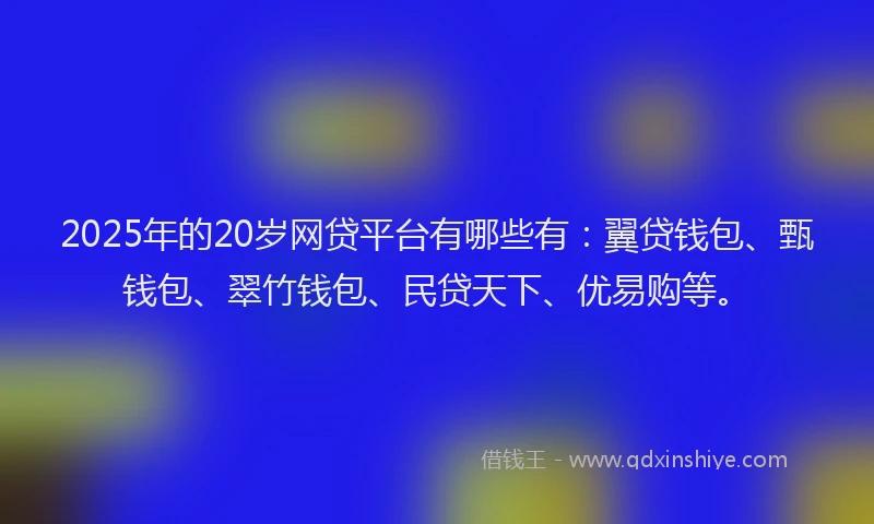 2025年的20岁网贷平台有哪些有：翼贷钱包、甄钱包、翠竹钱包、民贷天下、优易购等。