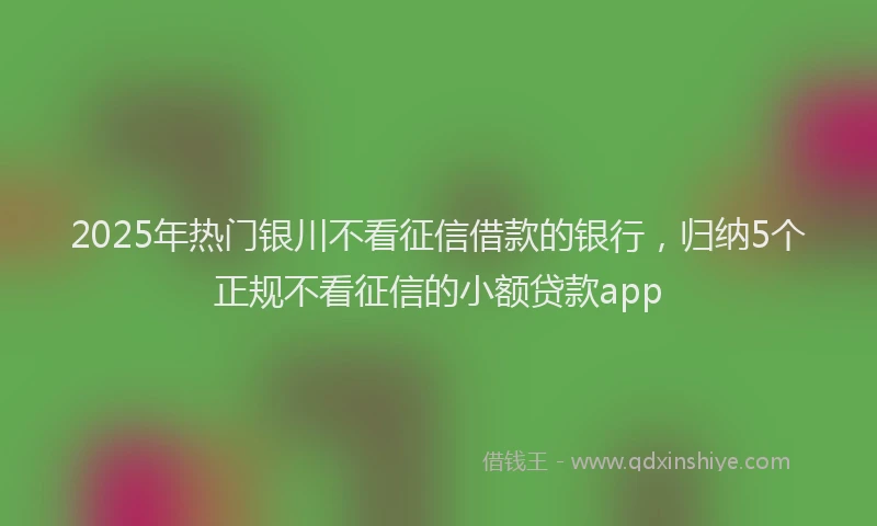 2025年热门银川不看征信借款的银行，归纳5个正规不看征信的小额贷款app