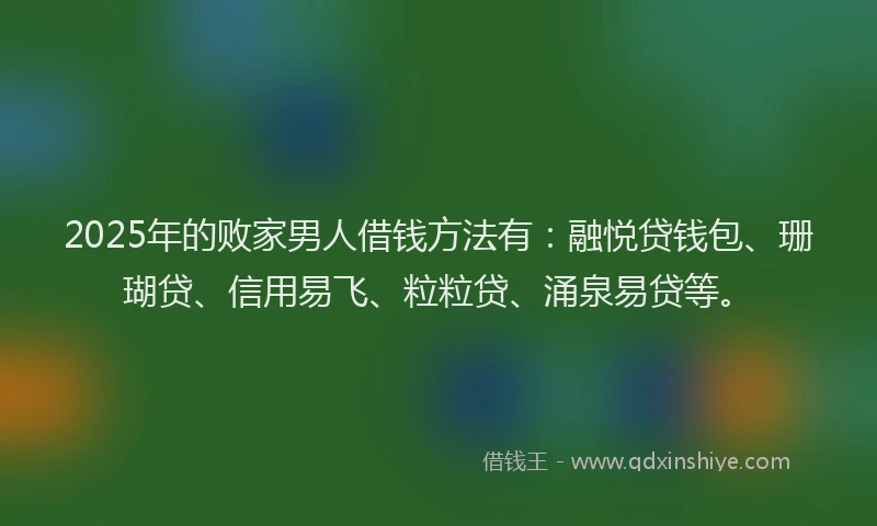 2025年的败家男人借钱方法有：融悦贷钱包、珊瑚贷、信用易飞、粒粒贷、涌泉易贷等。