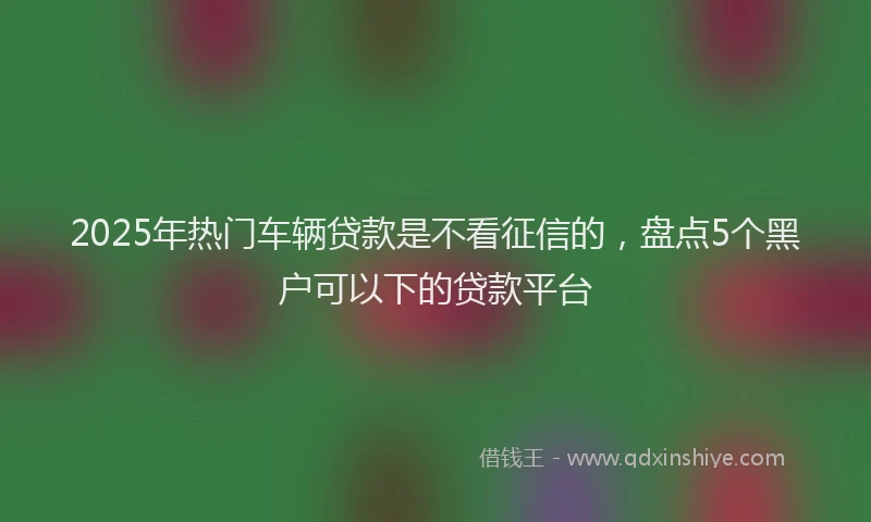 2025年热门车辆贷款是不看征信的，盘点5个黑户可以下的贷款平台