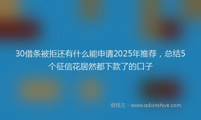 30借条被拒还有什么能申请2025年推荐，总结5个征信花居然都下款了的口子
