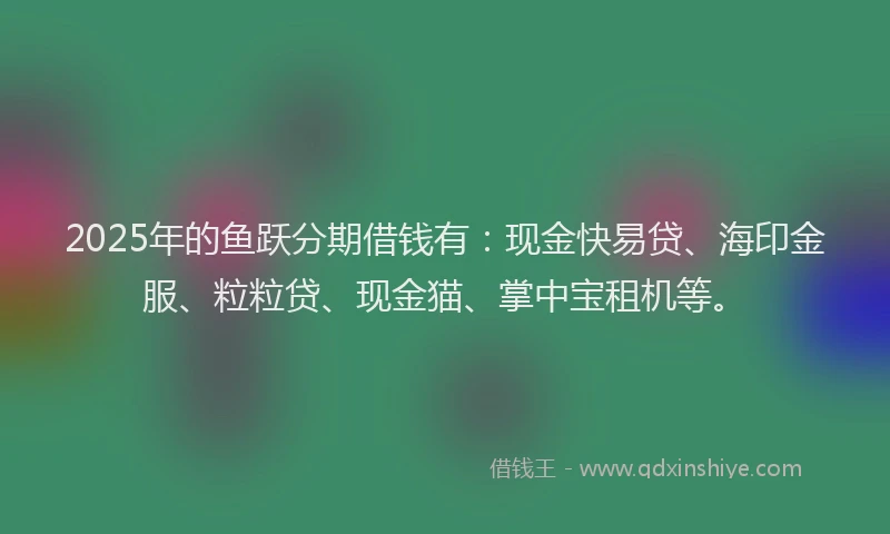 2025年的鱼跃分期借钱有：现金快易贷、海印金服、粒粒贷、现金猫、掌中宝租机等。
