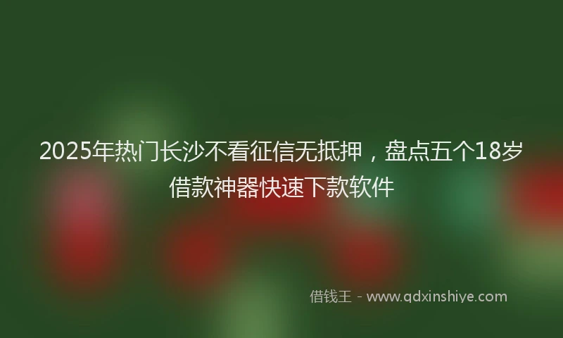 2025年热门长沙不看征信无抵押，盘点五个18岁借款神器快速下款软件