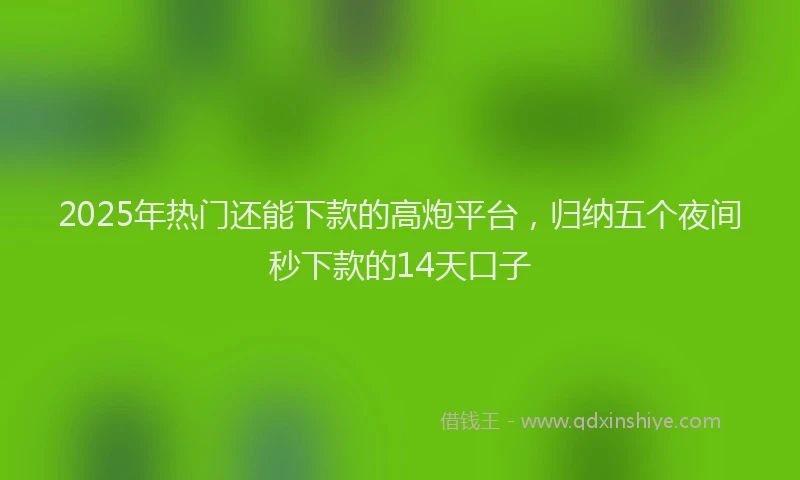 2025年热门还能下款的高炮平台，归纳五个夜间秒下款的14天口子