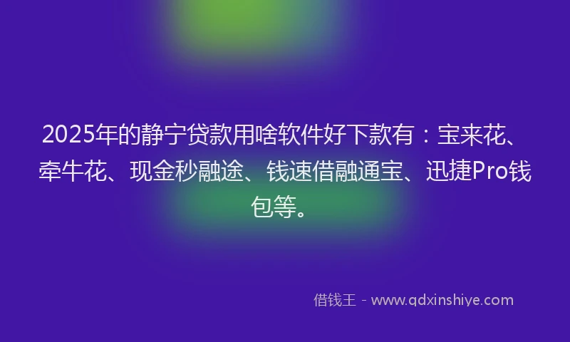 2025年的静宁贷款用啥软件好下款有：宝来花、牵牛花、现金秒融途、钱速借融通宝、迅捷Pro钱包等。