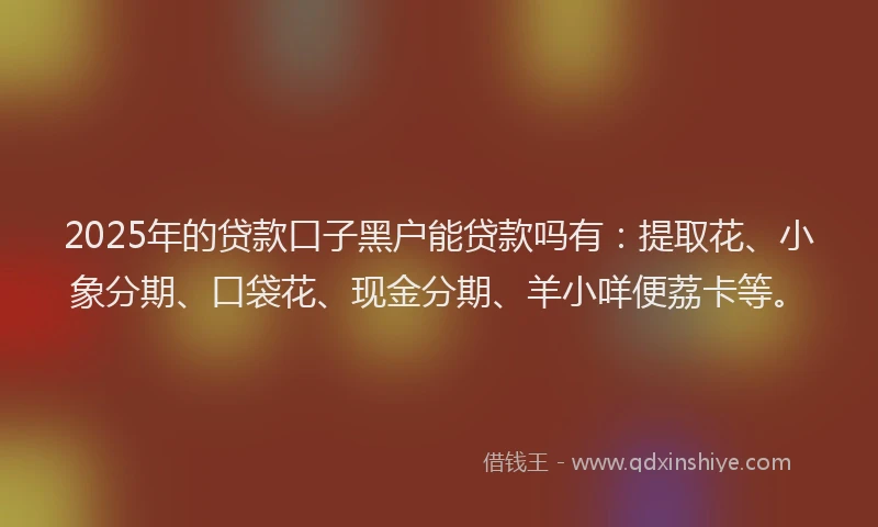 2025年的贷款口子黑户能贷款吗有：提取花、小象分期、口袋花、现金分期、羊小咩便荔卡等。