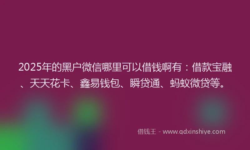 2025年的黑户微信哪里可以借钱啊有：借款宝融、天天花卡、鑫易钱包、瞬贷通、蚂蚁微贷等。