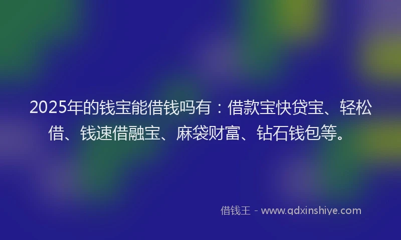 2025年的钱宝能借钱吗有：借款宝快贷宝、轻松借、钱速借融宝、麻袋财富、钻石钱包等。