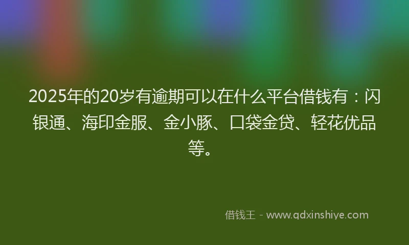 2025年的20岁有逾期可以在什么平台借钱有：闪银通、海印金服、金小豚、口袋金贷、轻花优品等。