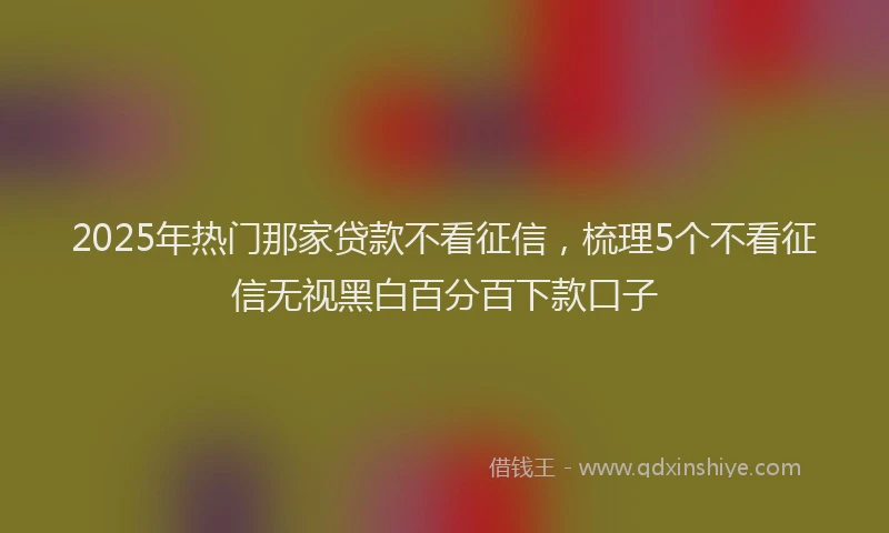 2025年热门那家贷款不看征信，梳理5个不看征信无视黑白百分百下款口子