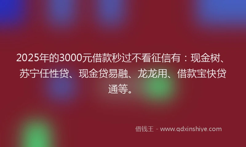 2025年的3000元借款秒过不看征信有：现金树、苏宁任性贷、现金贷易融、龙龙用、借款宝快贷通等。