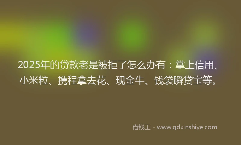 2025年的贷款老是被拒了怎么办有：掌上信用、小米粒、携程拿去花、现金牛、钱袋瞬贷宝等。