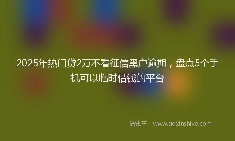 2025年热门贷2万不看征信黑户逾期，盘点5个手机可以临时借钱的平台