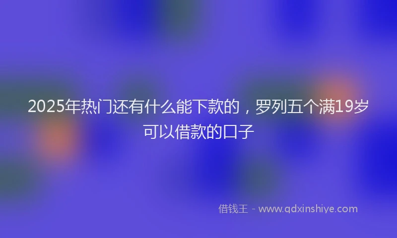2025年热门还有什么能下款的，罗列五个满19岁可以借款的口子
