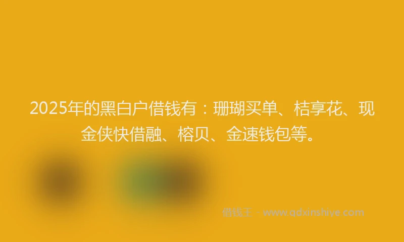 2025年的黑白户借钱有：珊瑚买单、桔享花、现金侠快借融、榕贝、金速钱包等。