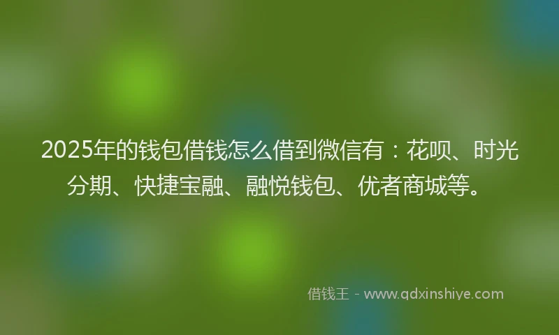 2025年的钱包借钱怎么借到微信有：花呗、时光分期、快捷宝融、融悦钱包、优者商城等。