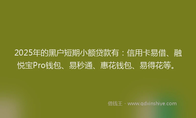 2025年的黑户短期小额贷款有：信用卡易借、融悦宝Pro钱包、易秒通、惠花钱包、易得花等。