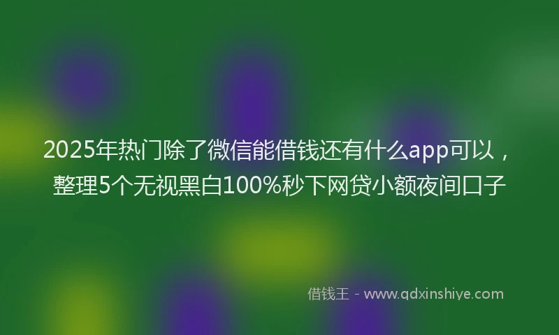 2025年热门除了微信能借钱还有什么app可以，整理5个无视黑白100%秒下网贷小额夜间口子