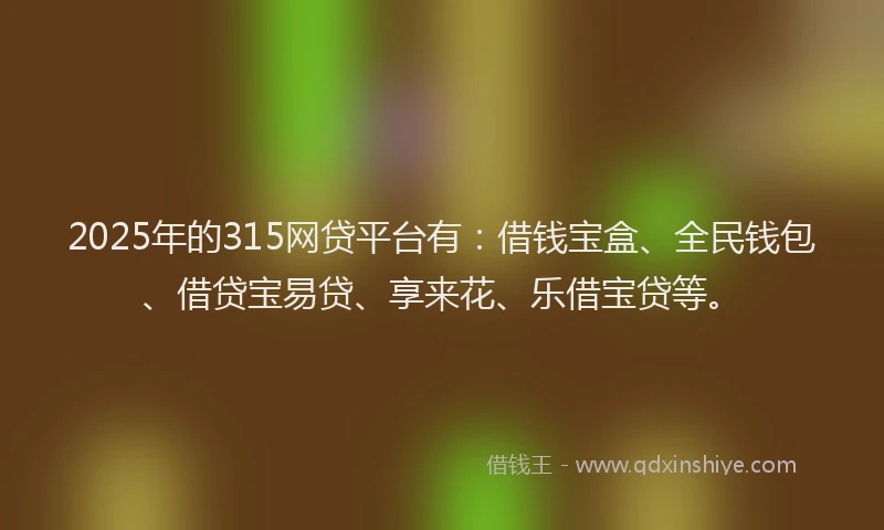 2025年的315网贷平台有：借钱宝盒、全民钱包、借贷宝易贷、享来花、乐借宝贷等。