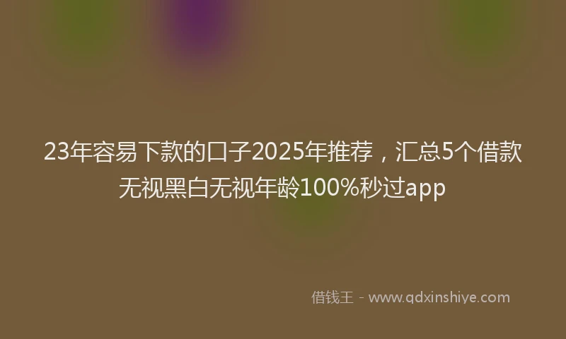 23年容易下款的口子2025年推荐，汇总5个借款无视黑白无视年龄100%秒过app